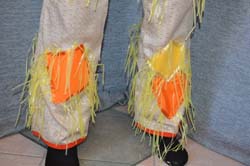 Costume Adulto Spaventapasseri (5)