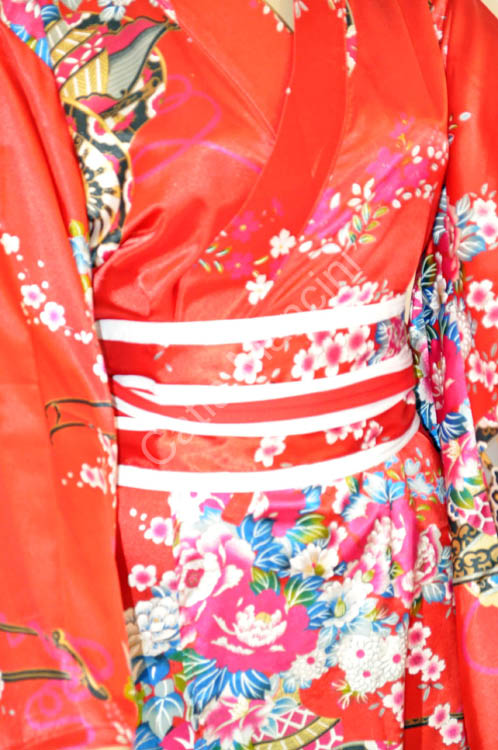 Geisha Costume  (12)