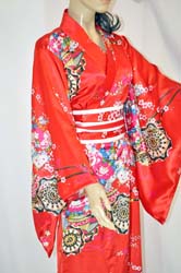 Geisha Costume  (11)