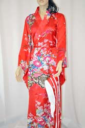 Geisha Costume  (15)