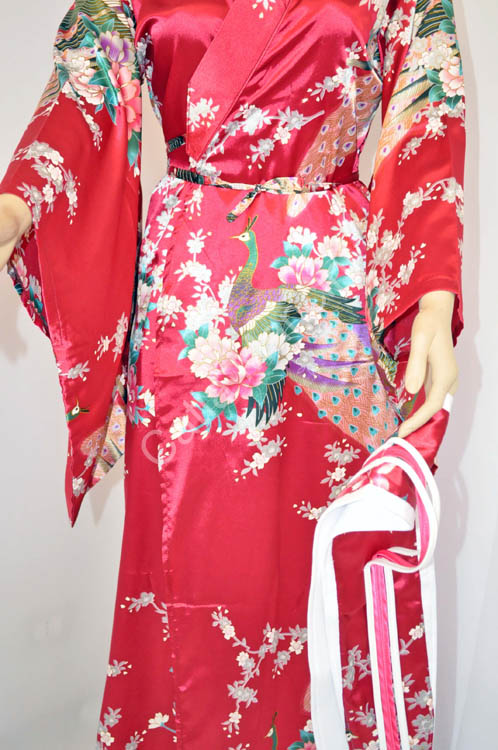 Geisha Costume vestito (14)