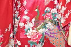 Geisha Costume vestito (15)