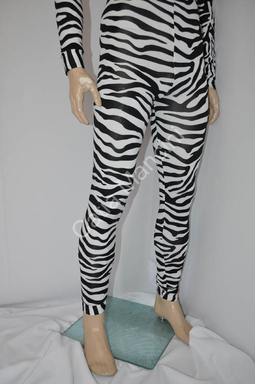 disco dancer zebra (10)
