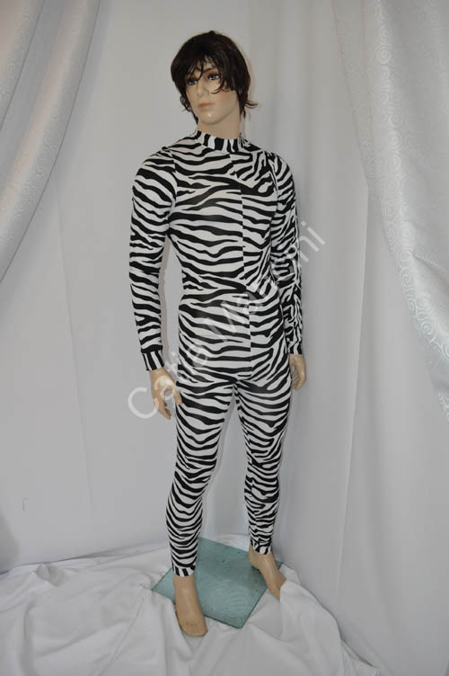 disco dancer zebra (6)