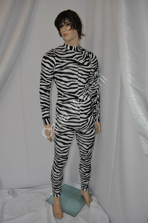 disco dancer zebra (9)