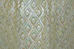 19th century dress gowns (13)