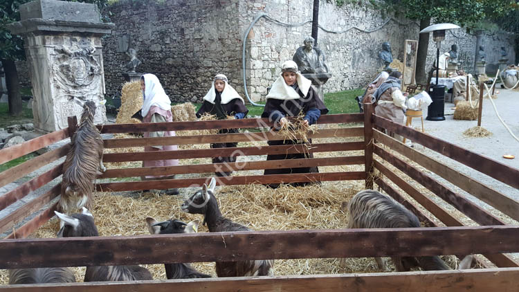 Presepe Vivente Ascoli Piceno (42)