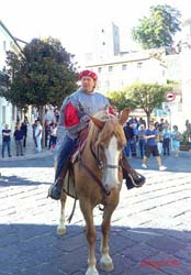 corteo storico federiciano 2017 (56)